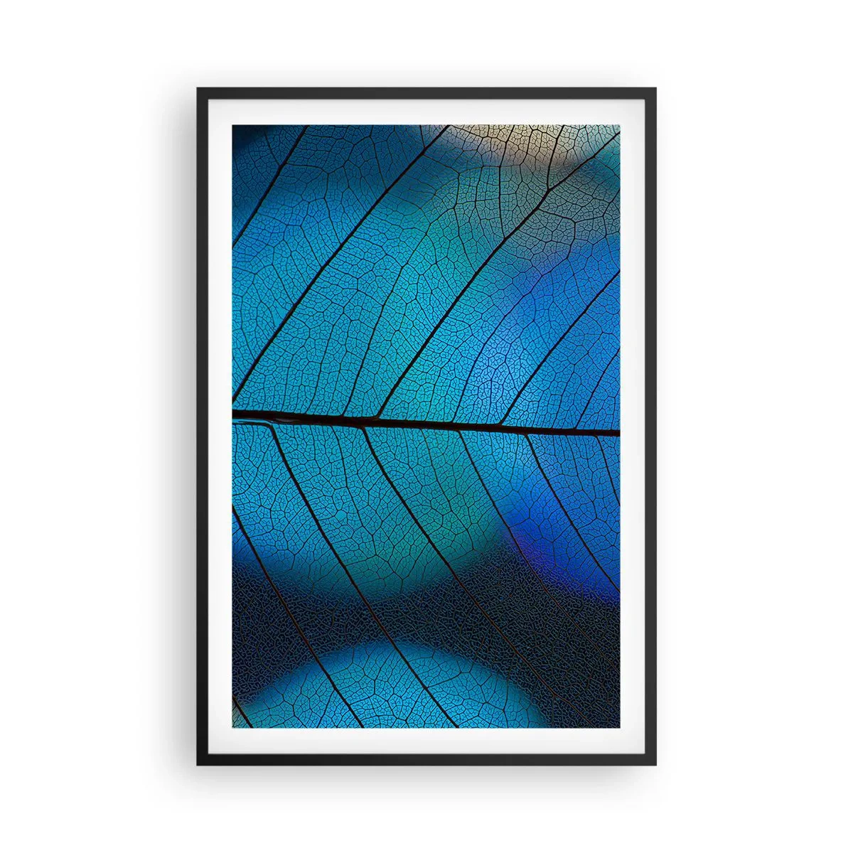 Poster in een zwarte lijst - Ingewikkelde constructie - 61x91 cm