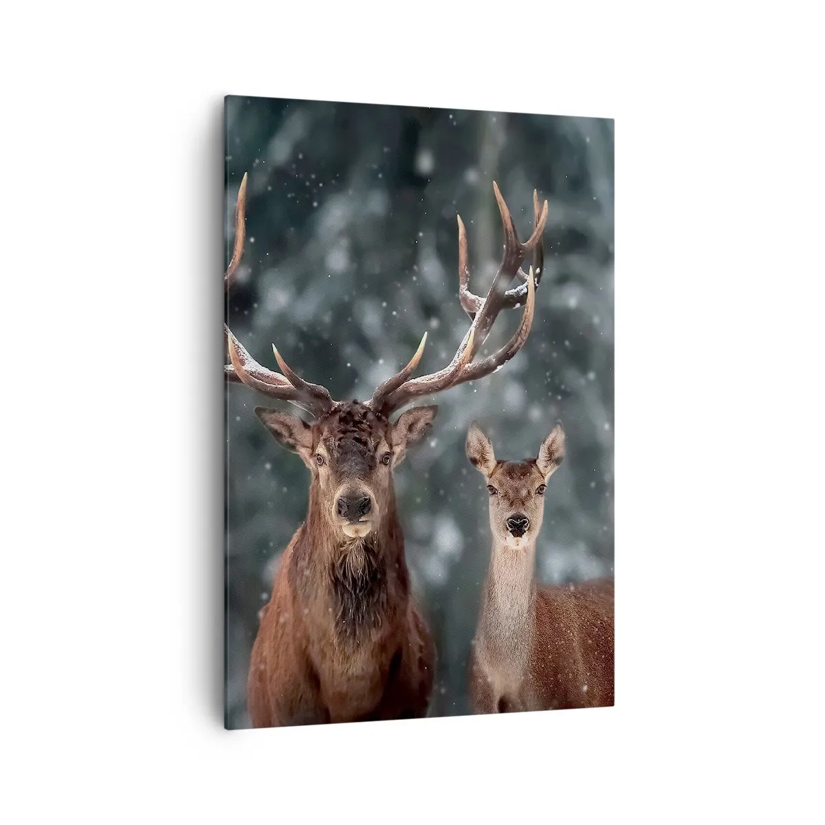 Schilderen op canvas - Heer van het bos met zijn vrouw - 70x100 cm