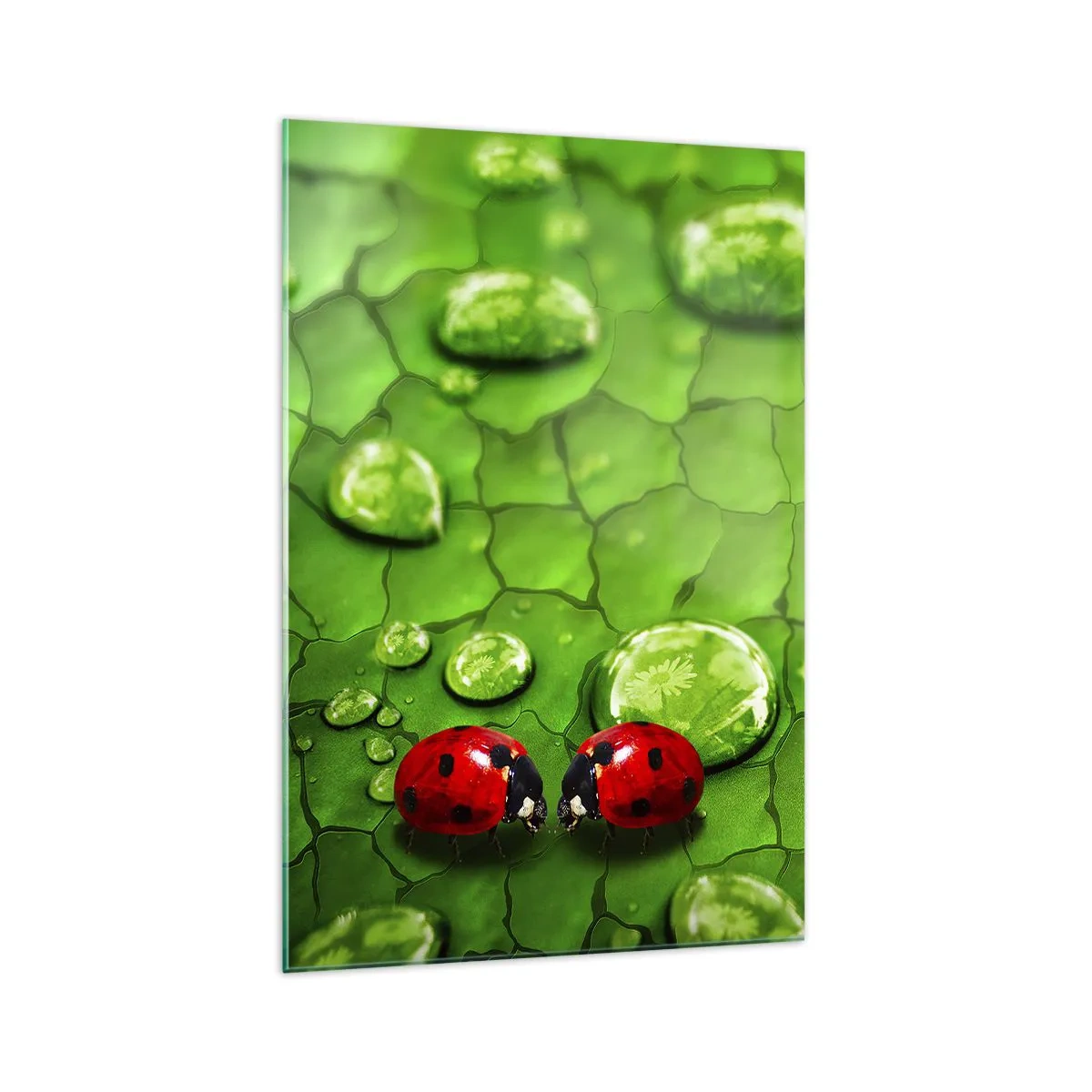 Schilderen op glas - Ontmoeting in het groen - 70x100 cm