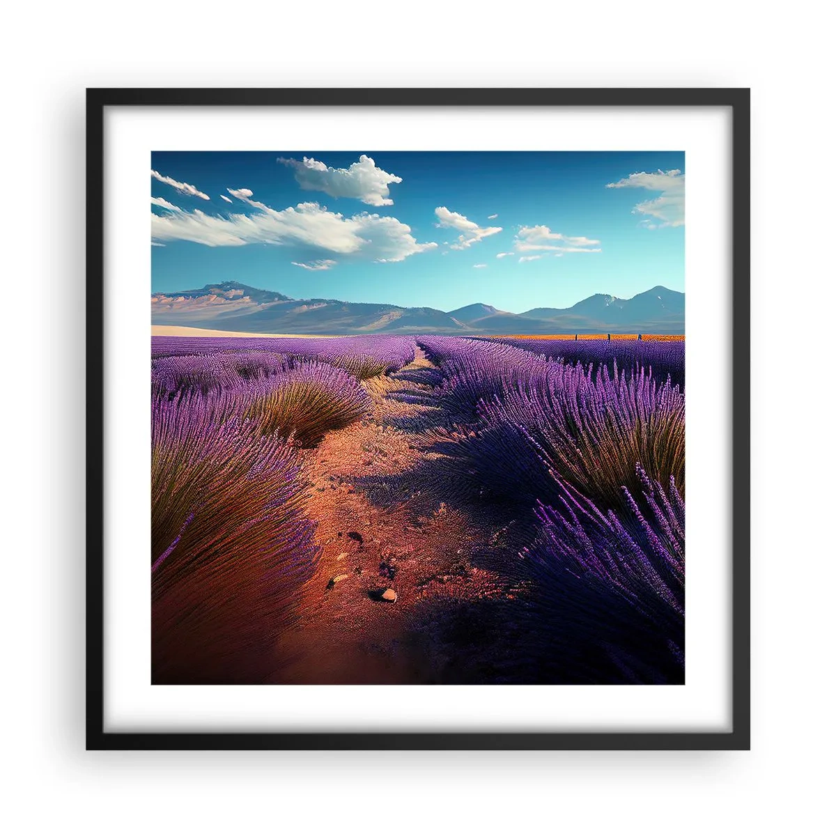 Poster in een zwarte lijst - Geurige velden - 50x50 cm