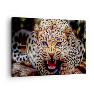 Schilderen op canvas - Een dreigende luipaard met intens blauwe ogen - 70x50cm - Boosheid schaadt de schoonheid niet - Moderne wanddecoratie voor woonkamer en slaapkamer ARTTOR