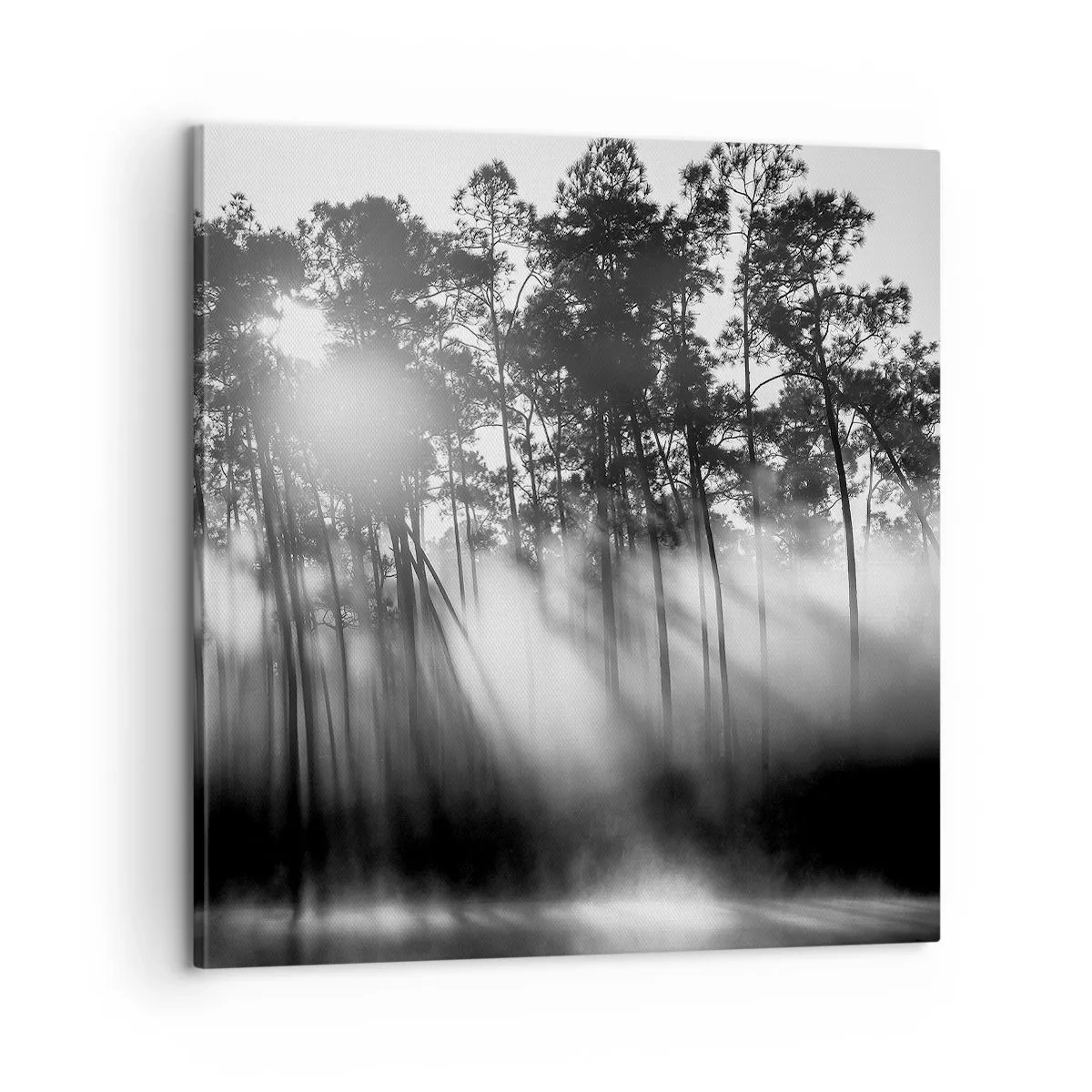 Schilderen op canvas - Niet te stoppen zon - 60x60 cm