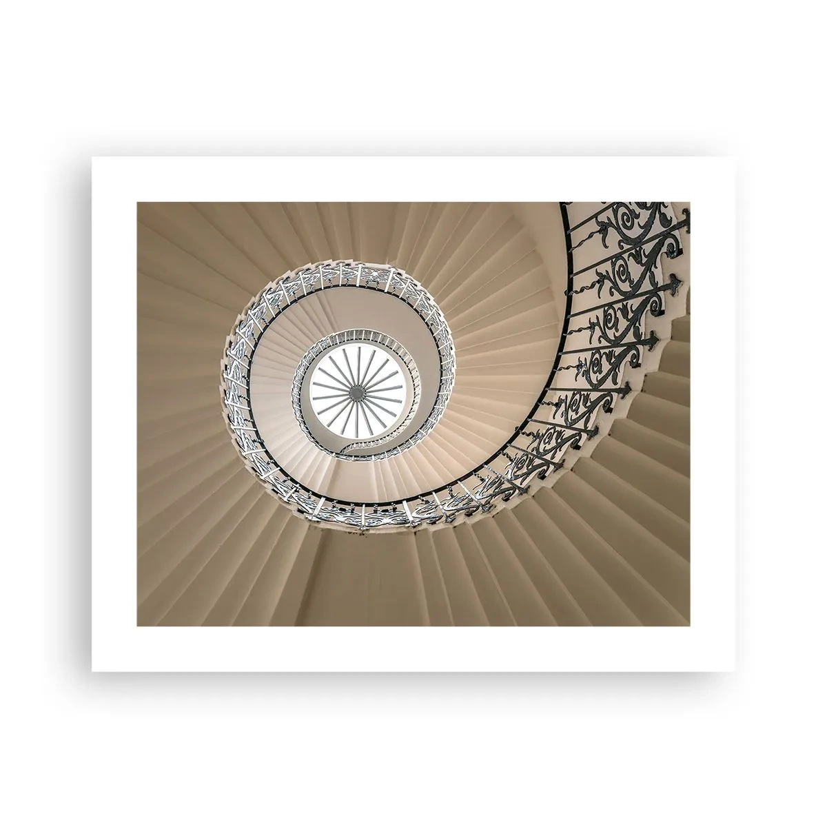 Poster - Binnenin de schaal - 50x40 cm