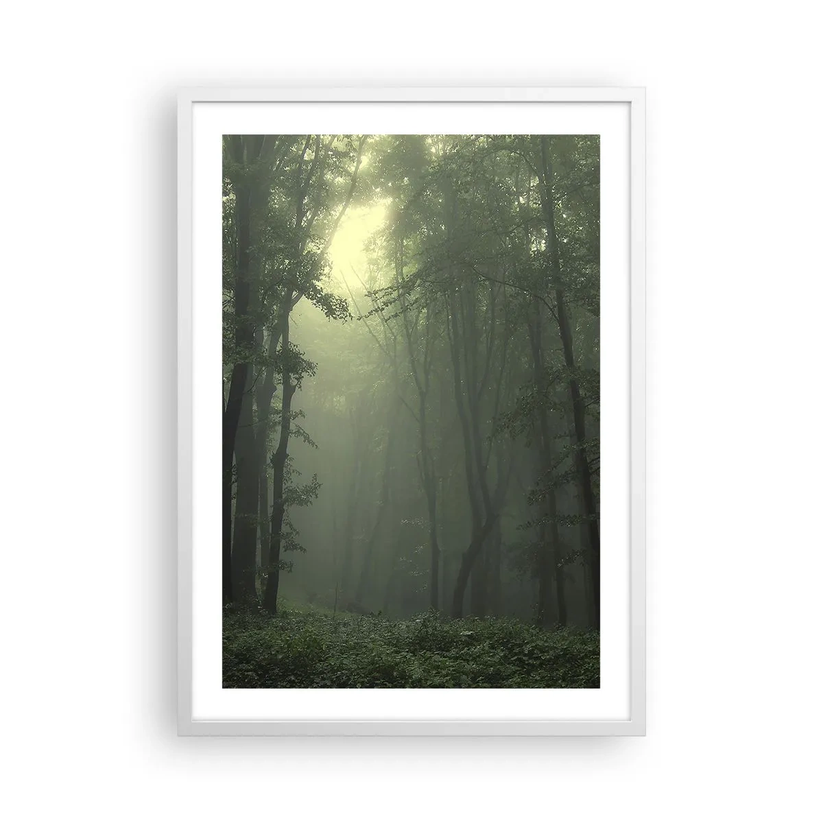 Poster in een witte lijst - Voordat hij wakker wordt - 50x70 cm