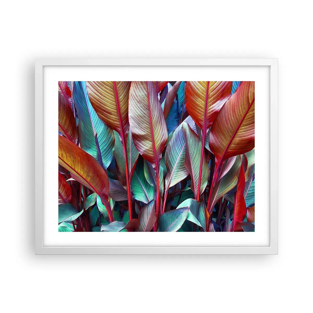 Poster in een witte lijst - Een kleurrijk struikgewas - 50x40 cm