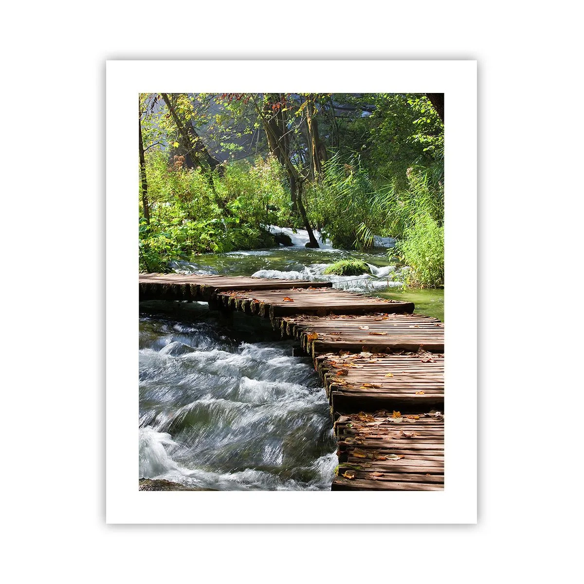 Poster - Boven de schuimige waterval - 40x50 cm