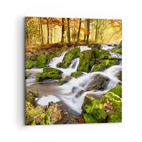 Schilderen op canvas - Snel door het herfstbos - 70x70 cm