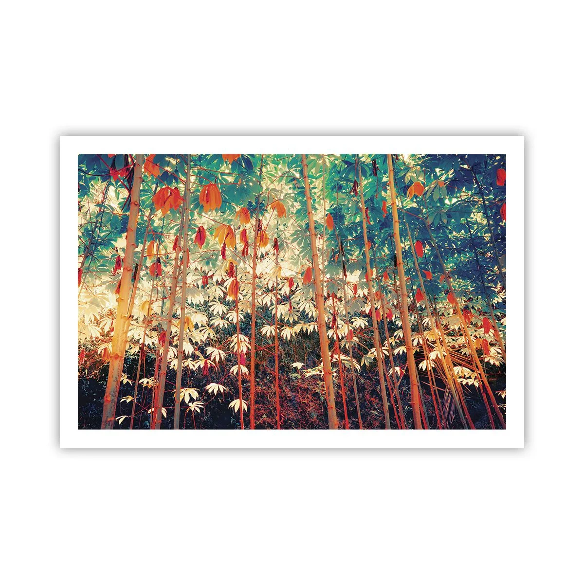 Poster - Het geheime leven van de bladeren - 91x61 cm