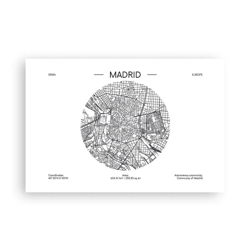 Poster - Anatomie van Madrid - 91x61 cm