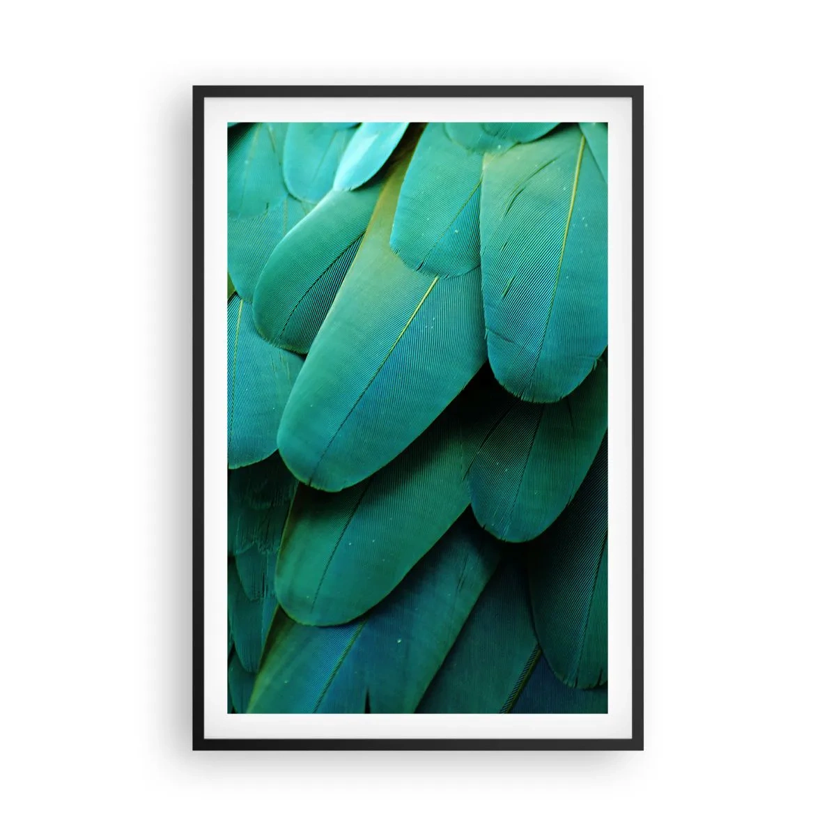 Poster in een zwarte lijst - Papegaaiachtige precisie - 61x91 cm