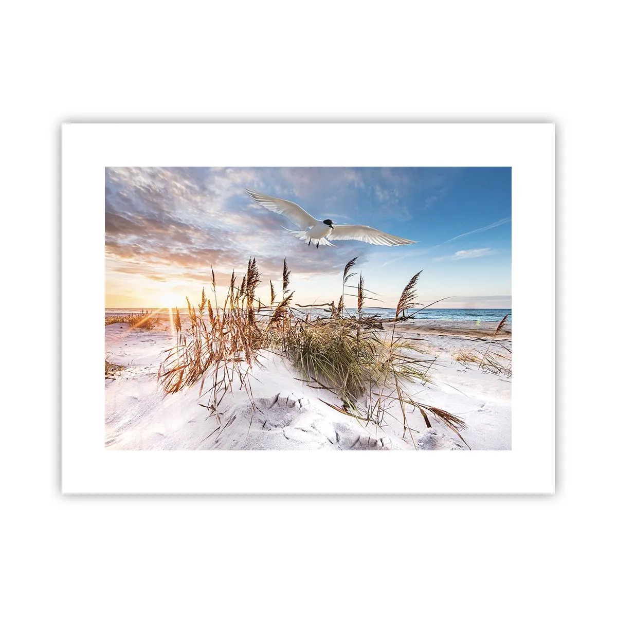 Poster - Wind uit zee - 40x30 cm