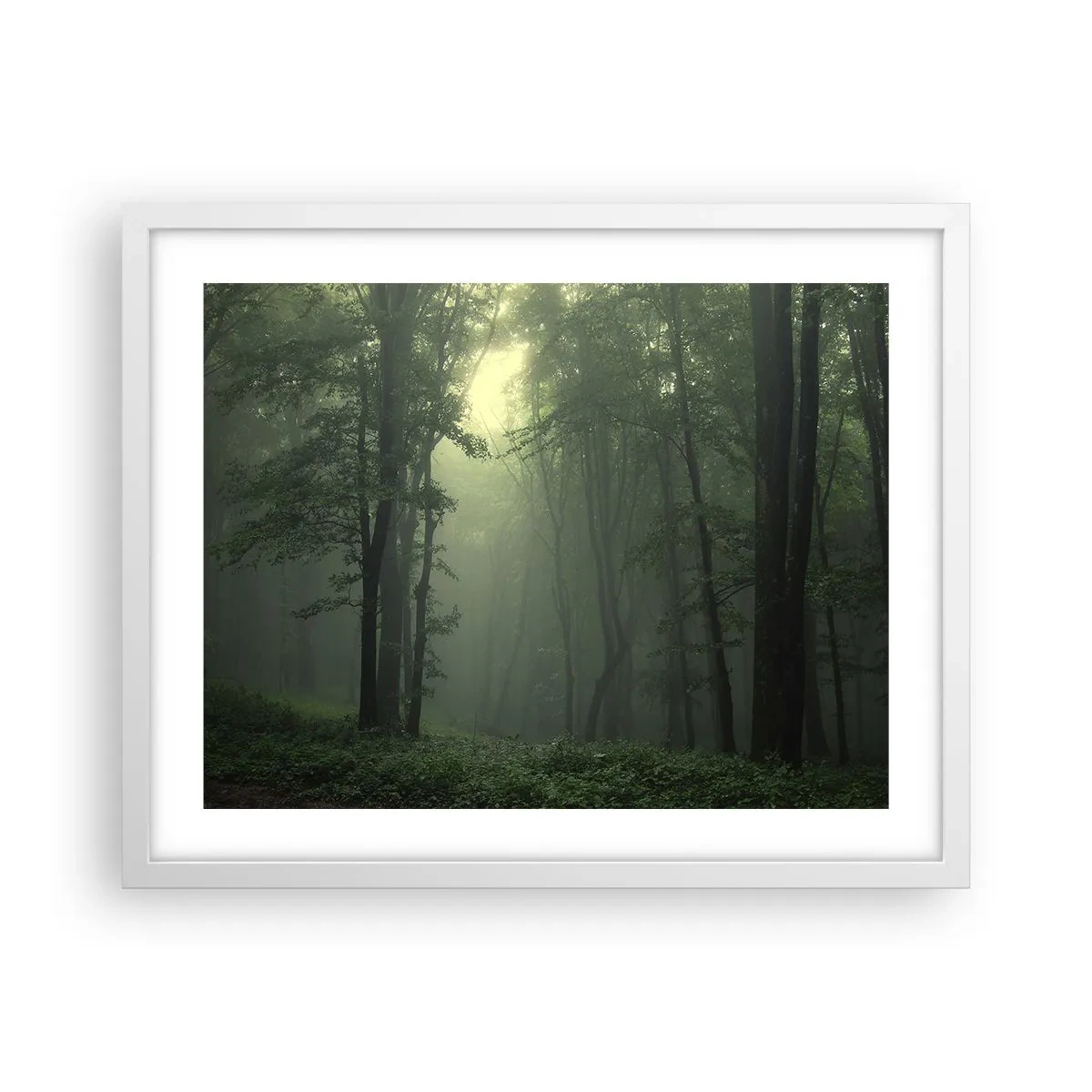 Poster in een witte lijst - Voordat hij wakker wordt - 50x40 cm