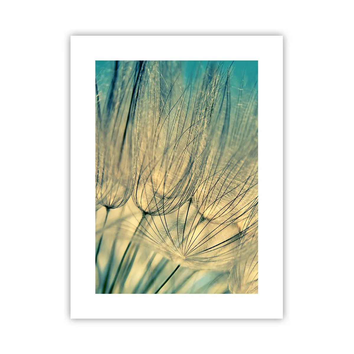 Poster - In afwachting van de wind - 30x40 cm