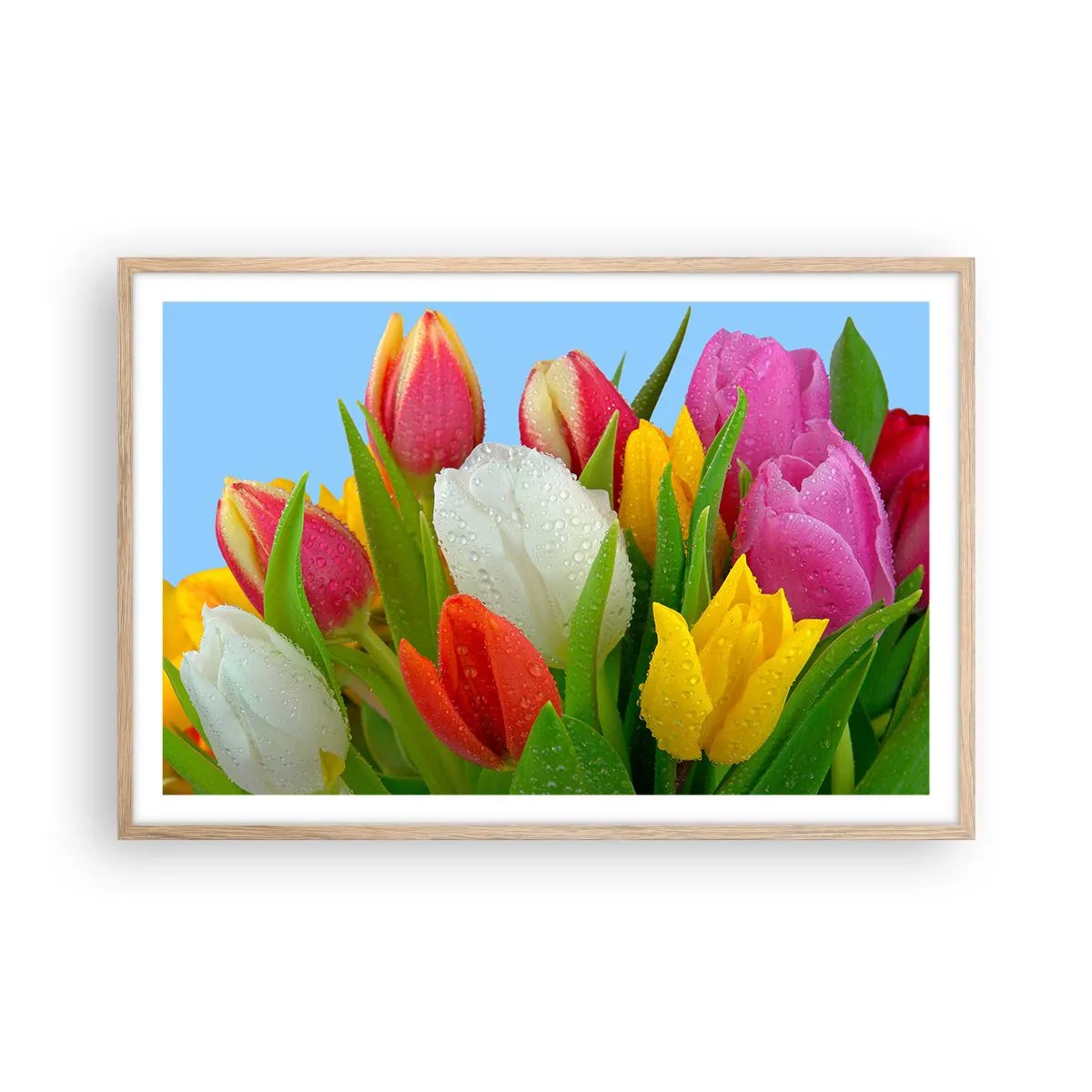 Een poster in een licht eiken lijst - Een bloemenregenboog in dauwdruppels - 91x61 cm