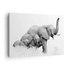 Schilderen op canvas - Een olifantenfamilie tegen een Afrikaans landschap in zwart-wit. - 70x50cm - Een twee drie - Moderne wanddecoratie voor woonkamer en slaapkamer ARTTOR