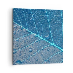 Schilderen op canvas - Leven in blauw - 50x50 cm