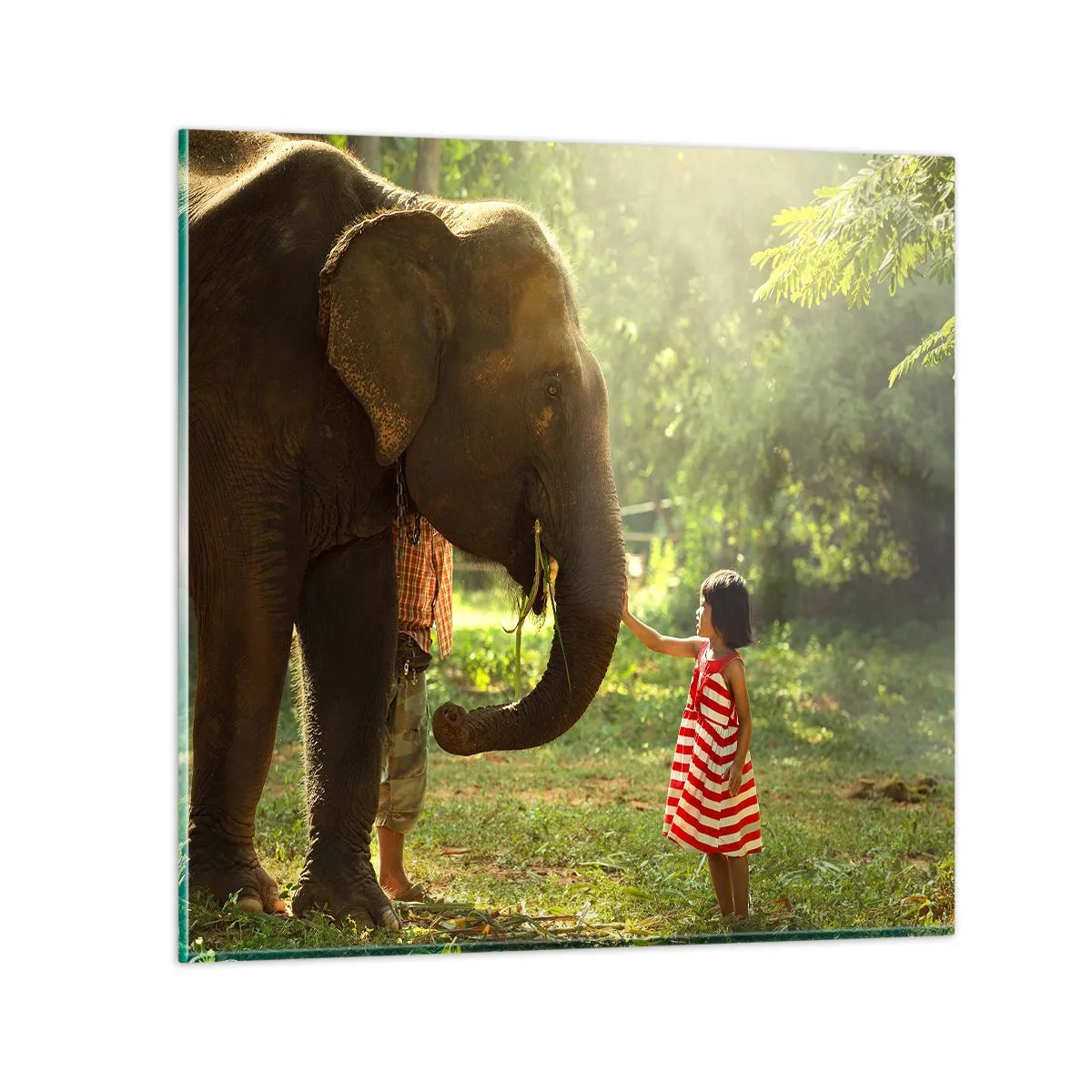 Schilderen op glas - De kracht van vriendschap - 70x70 cm