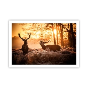 Poster - De droom van een jager - 91x61 cm