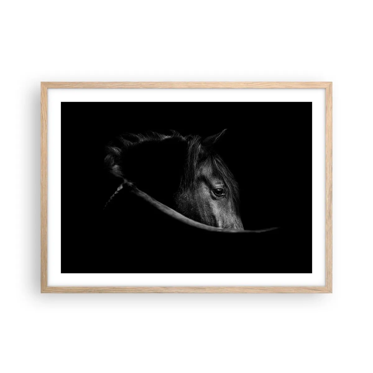 Een poster in een licht eiken lijst - Zwarte Prins - 70x50 cm