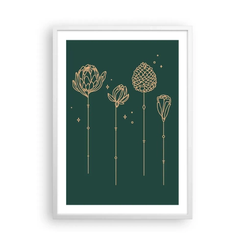 Poster in een witte lijst - Kruidenfamiie / Familie Ziółkowsi ?? - 50x70 cm