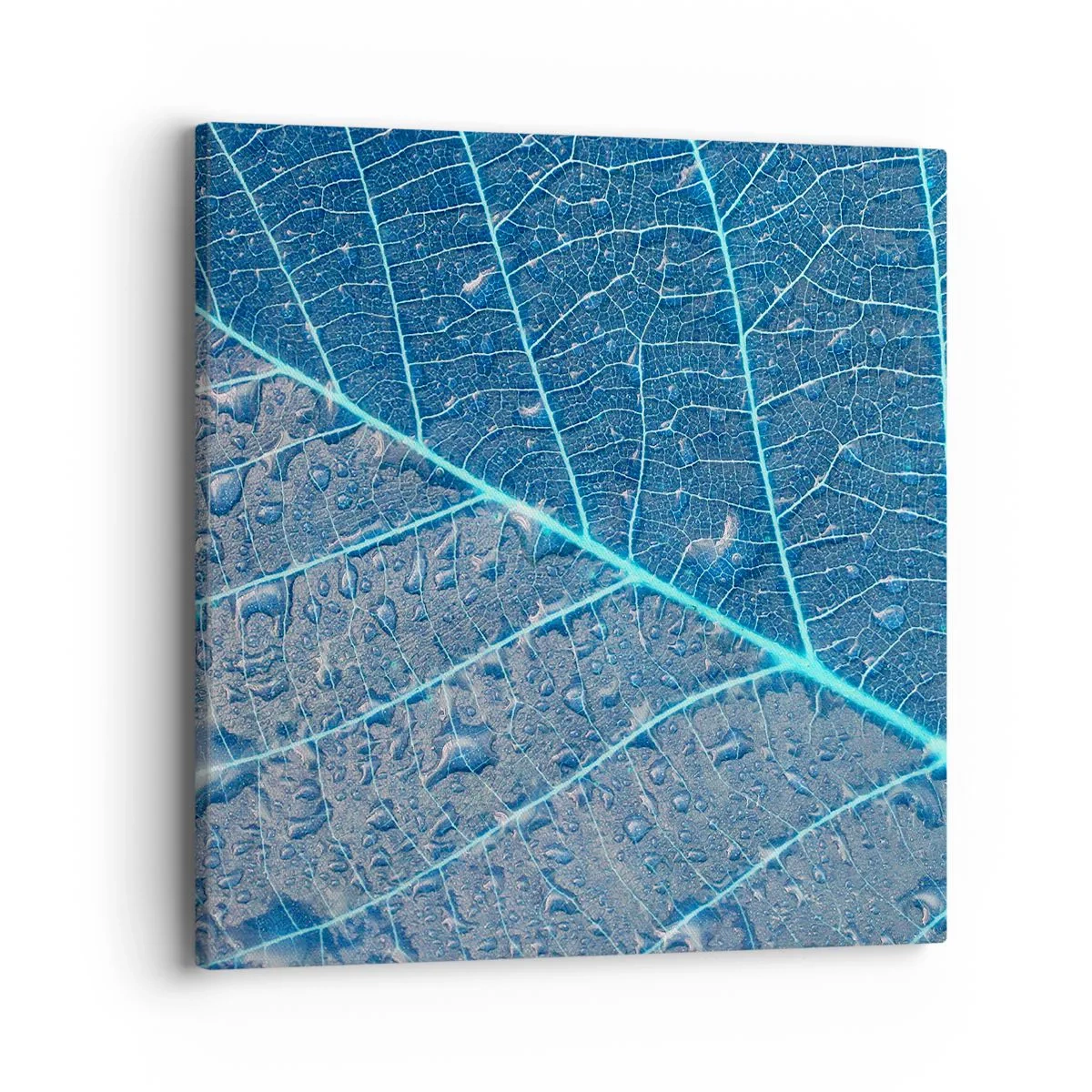 Schilderen op canvas - Leven in blauw - 40x40 cm