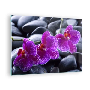 Schilderen op glas - Paarse orchideeën tegen een achtergrond van gladde stenen - 70x50cm - De stenen gloeiden van verrukking - Moderne wanddecoratie voor woonkamer en slaapkamer ARTTOR