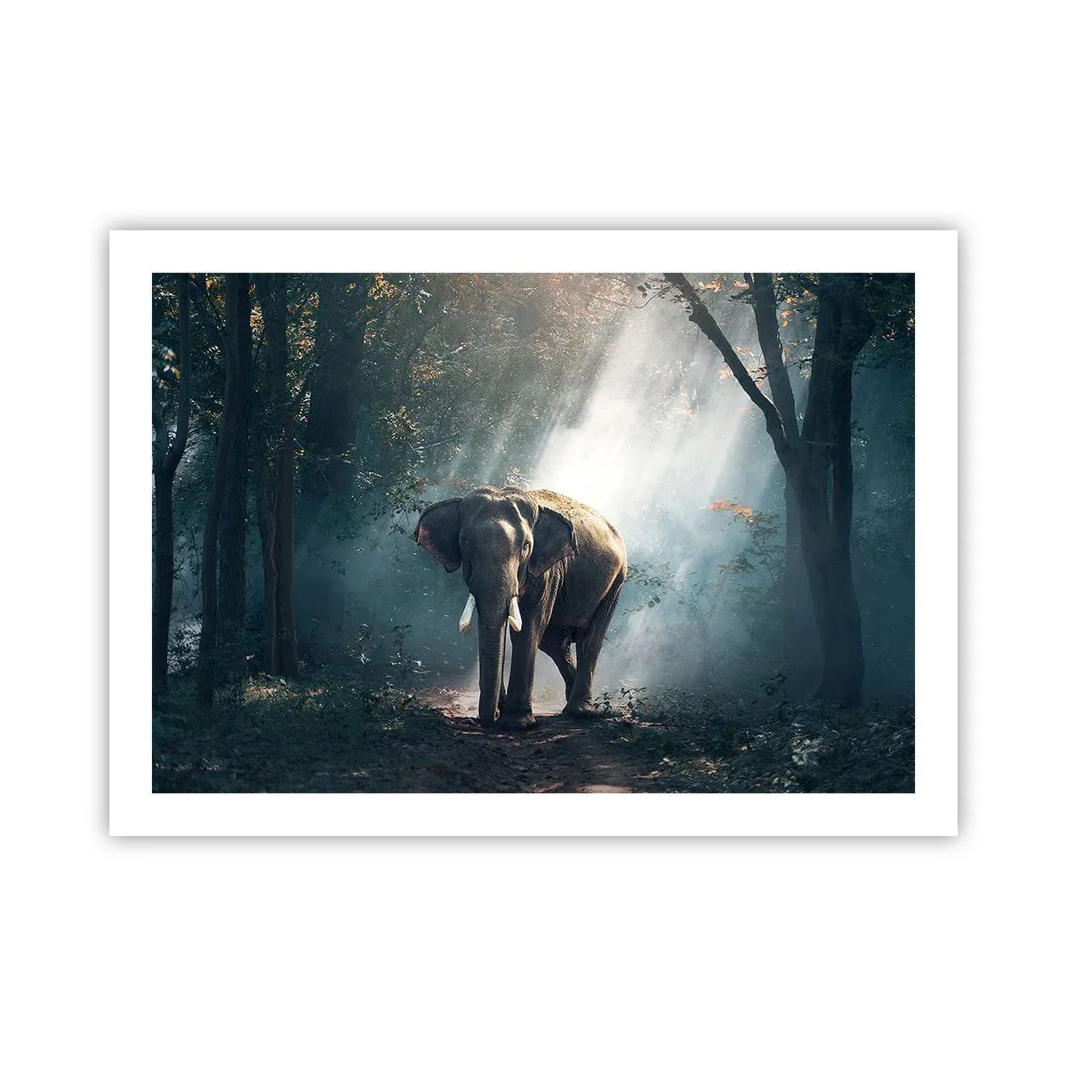 Poster - Een ontspannen wandeling - 70x50 cm