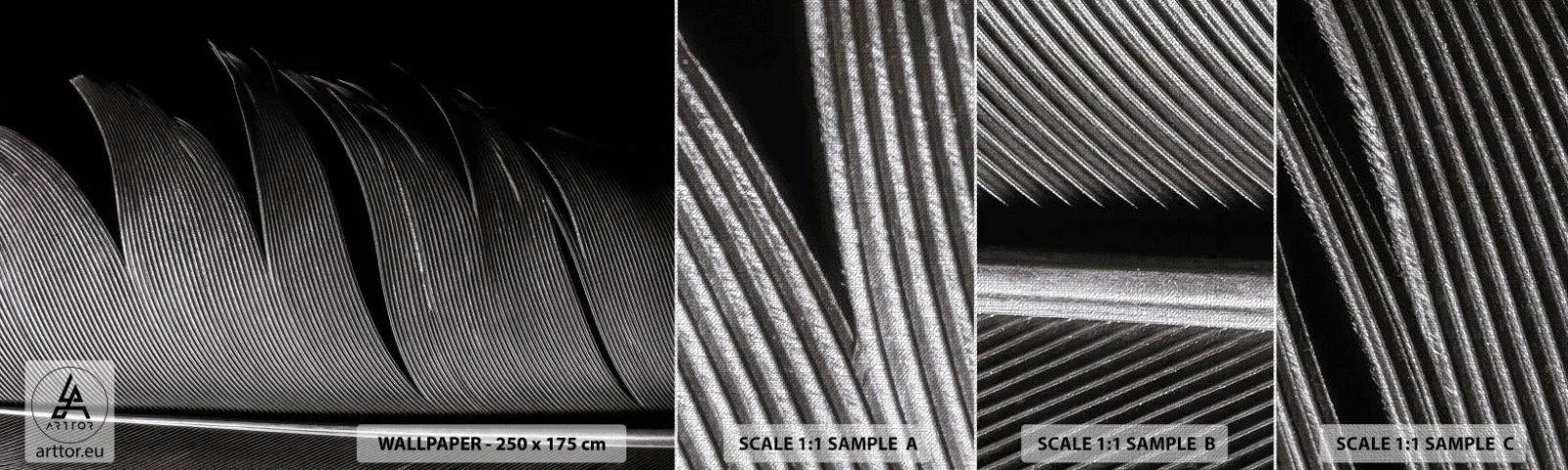 Fotobehang Monster Premium Canvas - Een veer - prachtig ontwerp - Pen, Minimalisme, Lichtheid - 100x30 cm