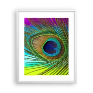 Poster in een witte lijst - Oog in oog - 40x50 cm