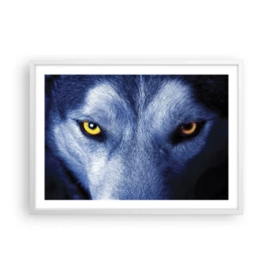 Poster in een witte lijst - Betoverende look - 70x50 cm