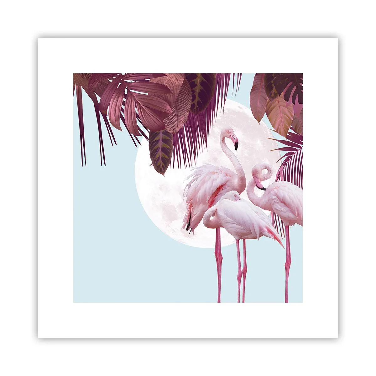 Poster - Drie vogel genaden - 30x30 cm