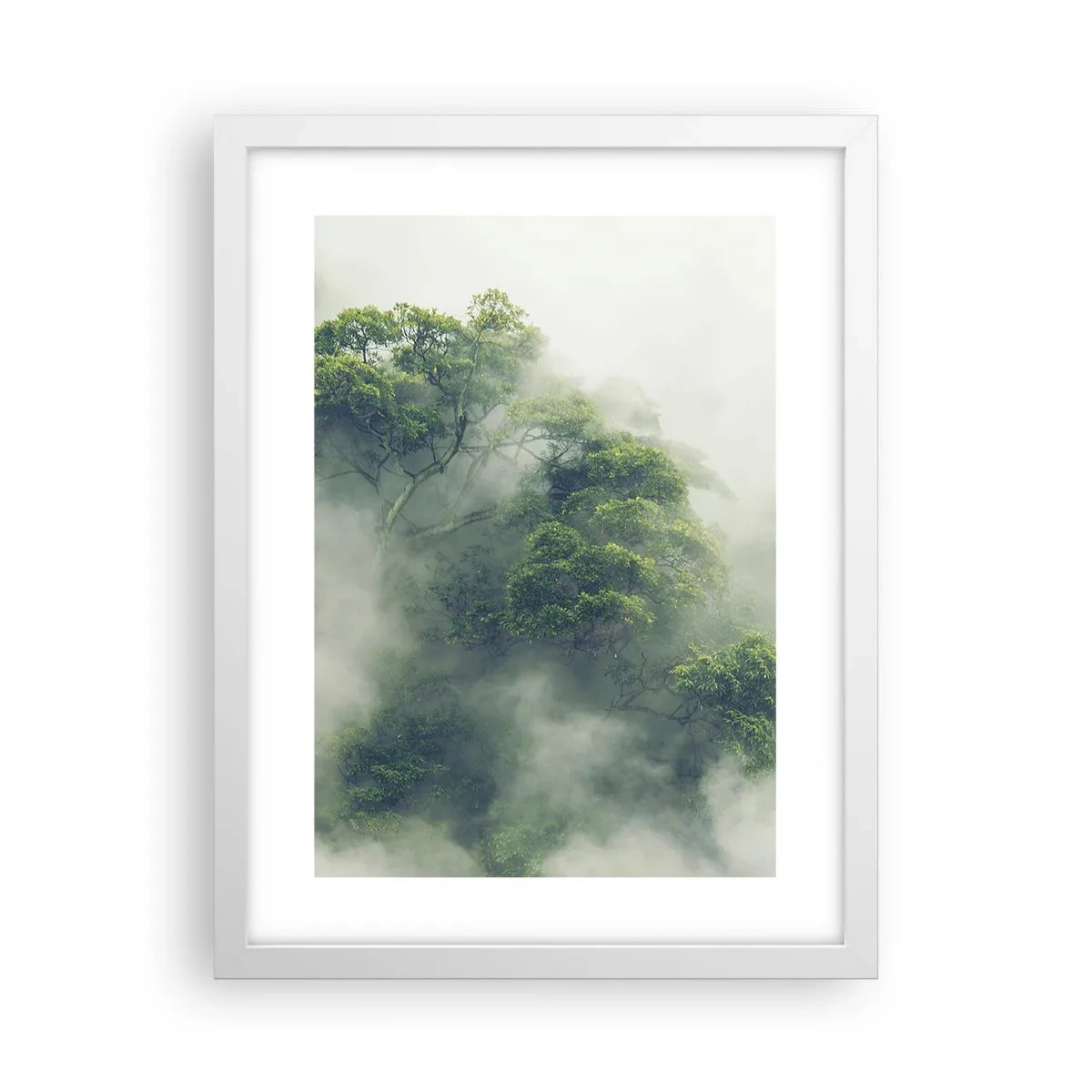 Poster in een witte lijst - In mist gehuld - 30x40 cm