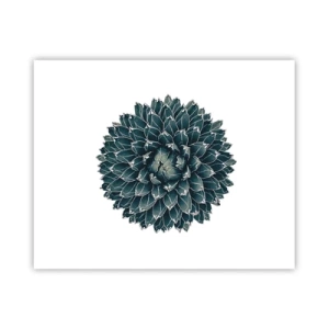 Poster - De ster van de woestijn - 50x40 cm