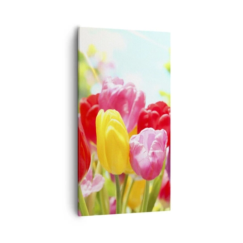 Schilderen op canvas - Dat zijn wij, de kleuren van mei! - 55x100 cm