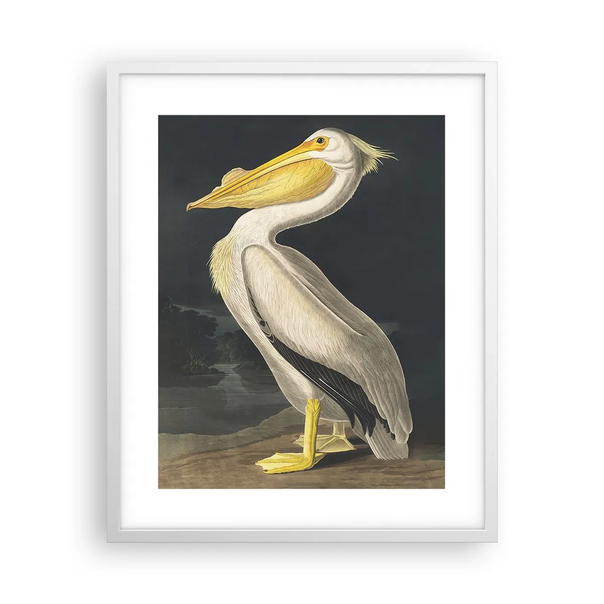 Poster in een witte lijst - Vol trots - 40x50 cm