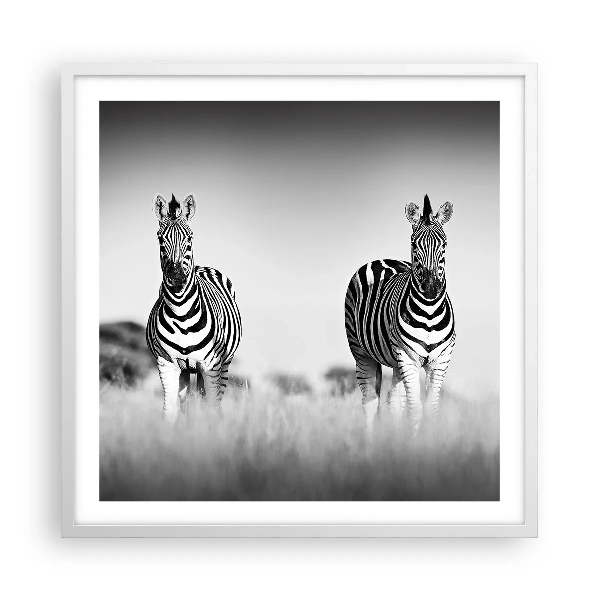Poster in een witte lijst - Toch is de wereld zwart-wit - 60x60 cm