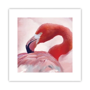 Poster - Vogel schoonheid - 30x30 cm
