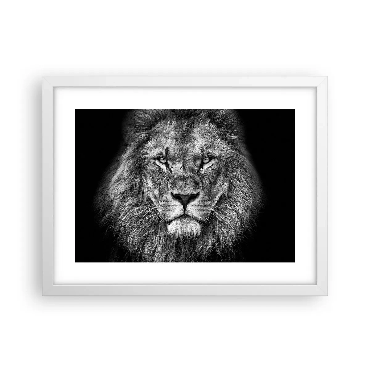 Poster in een witte lijst - In een kroningskleed - 40x30 cm