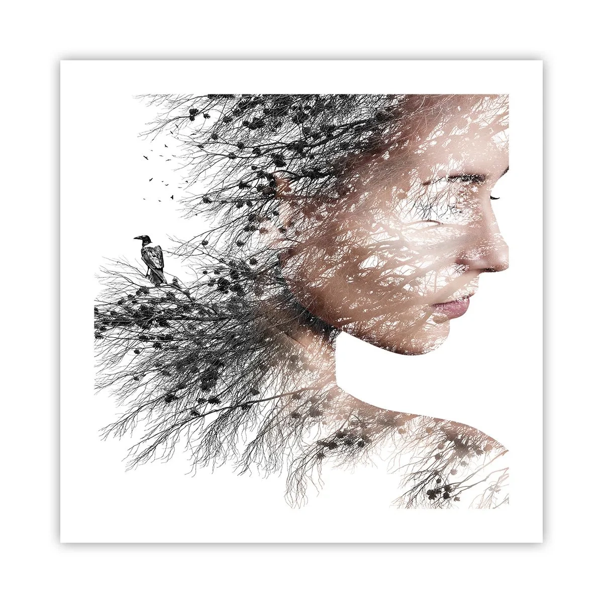 Poster - De geest van het bos - 50x50 cm