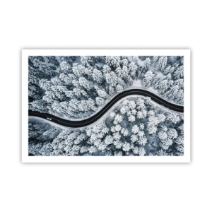 Poster - Door het winterbos - 91x61 cm