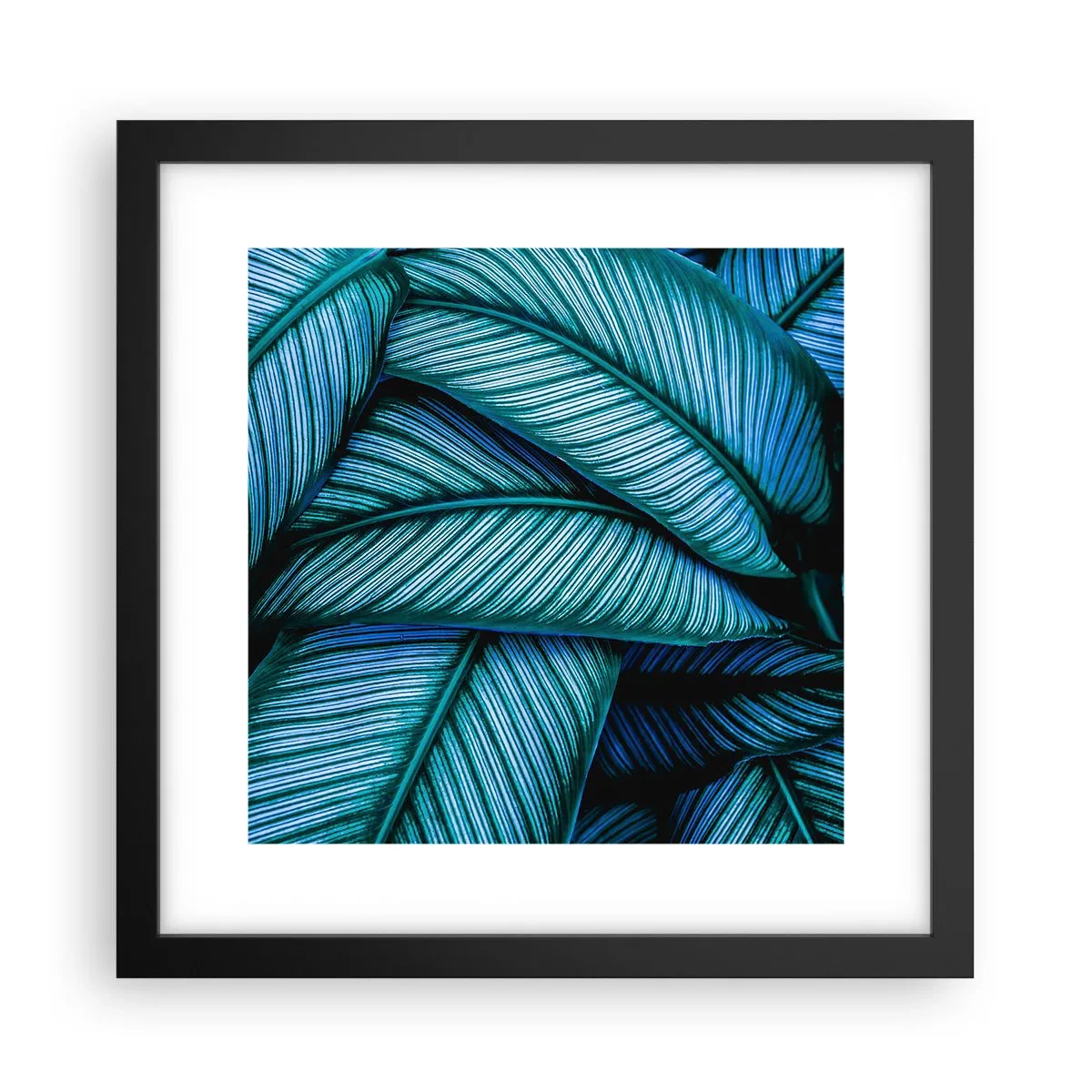 Poster in een zwarte lijst - Levens lijnen - 30x30 cm