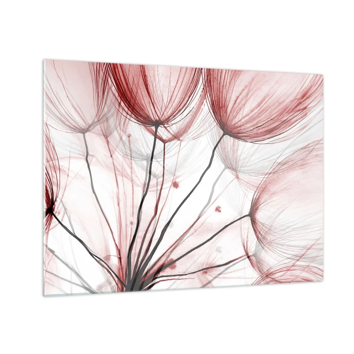 Schilderen op glas - Subtiele paardenbloemen in tinten roze en zwart - 70x50cm - Vóór het vertrek - Moderne wanddecoratie voor woonkamer en slaapkamer ARTTOR