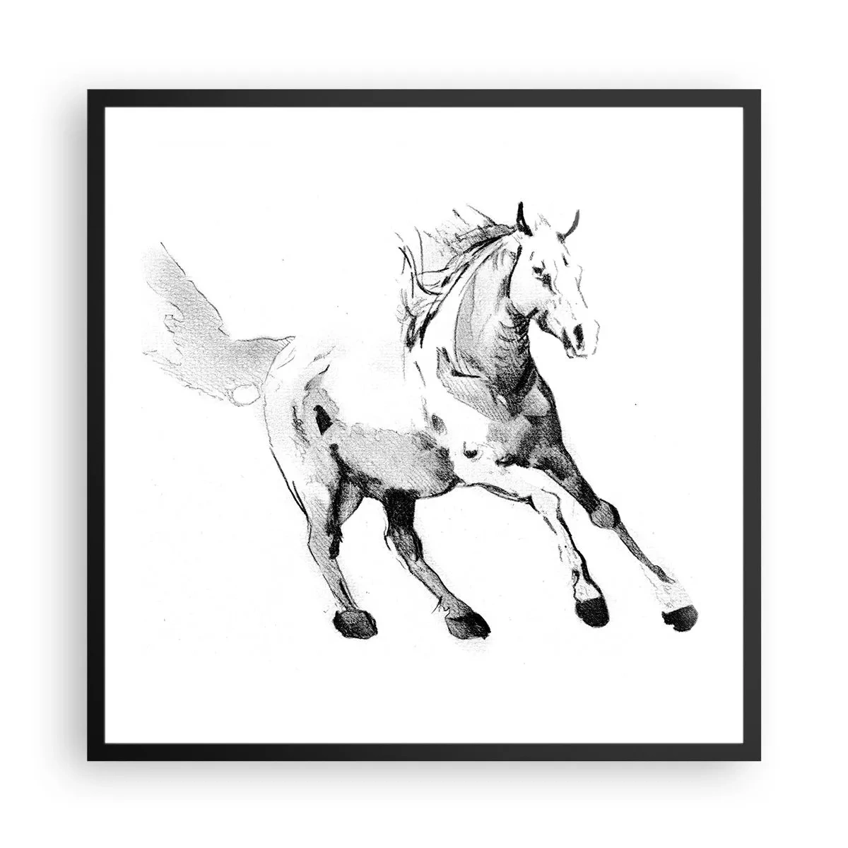 Poster in een zwarte lijst - Ongetemde ziel - 60x60 cm