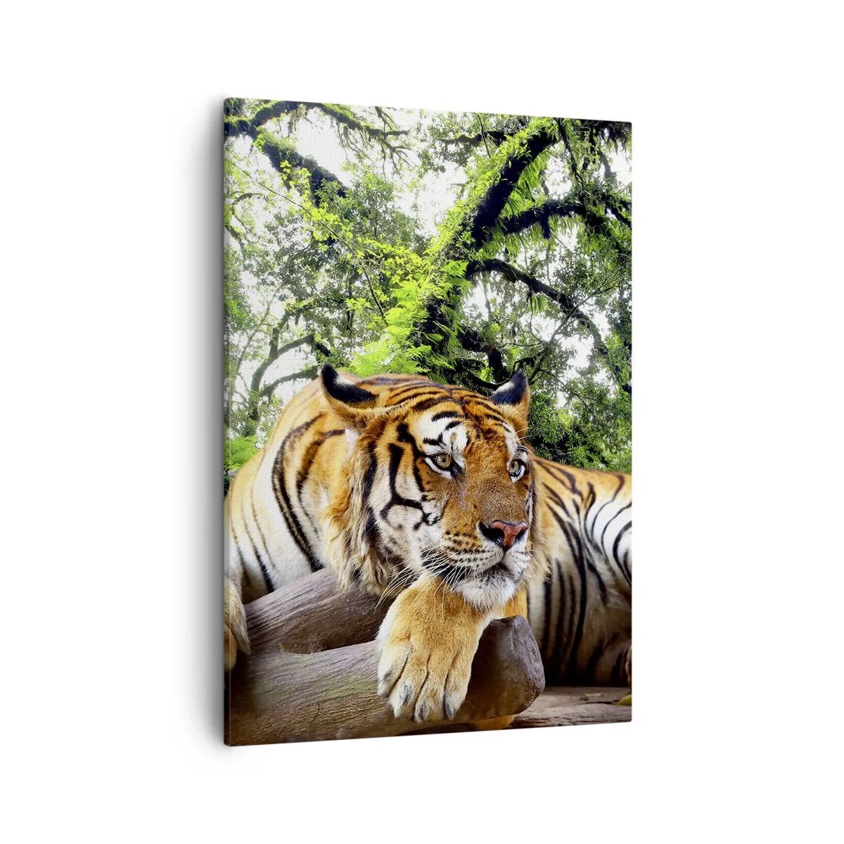 Schilderen op canvas - Met vriendelijke groet - 50x70 cm