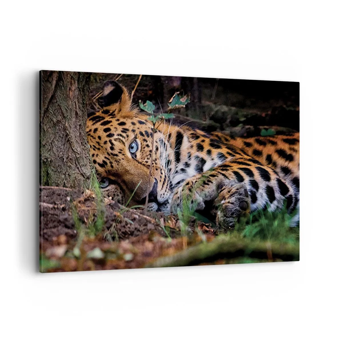 Schilderen op canvas - Geloof me - 120x80 cm