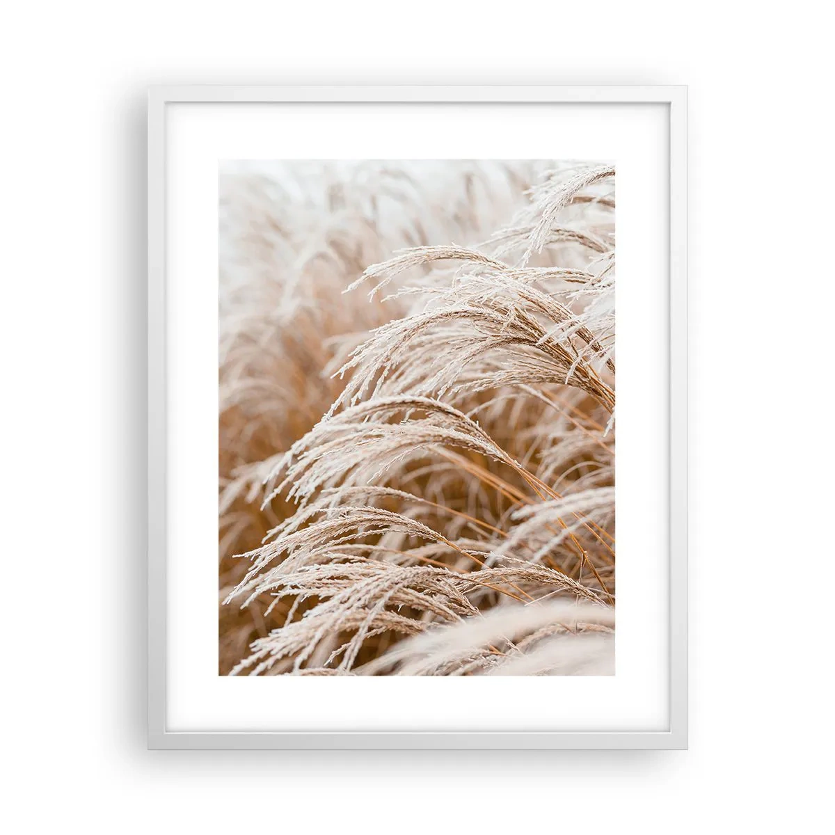 Poster in een witte lijst - Buig je neer voor de herfstzon - 40x50 cm