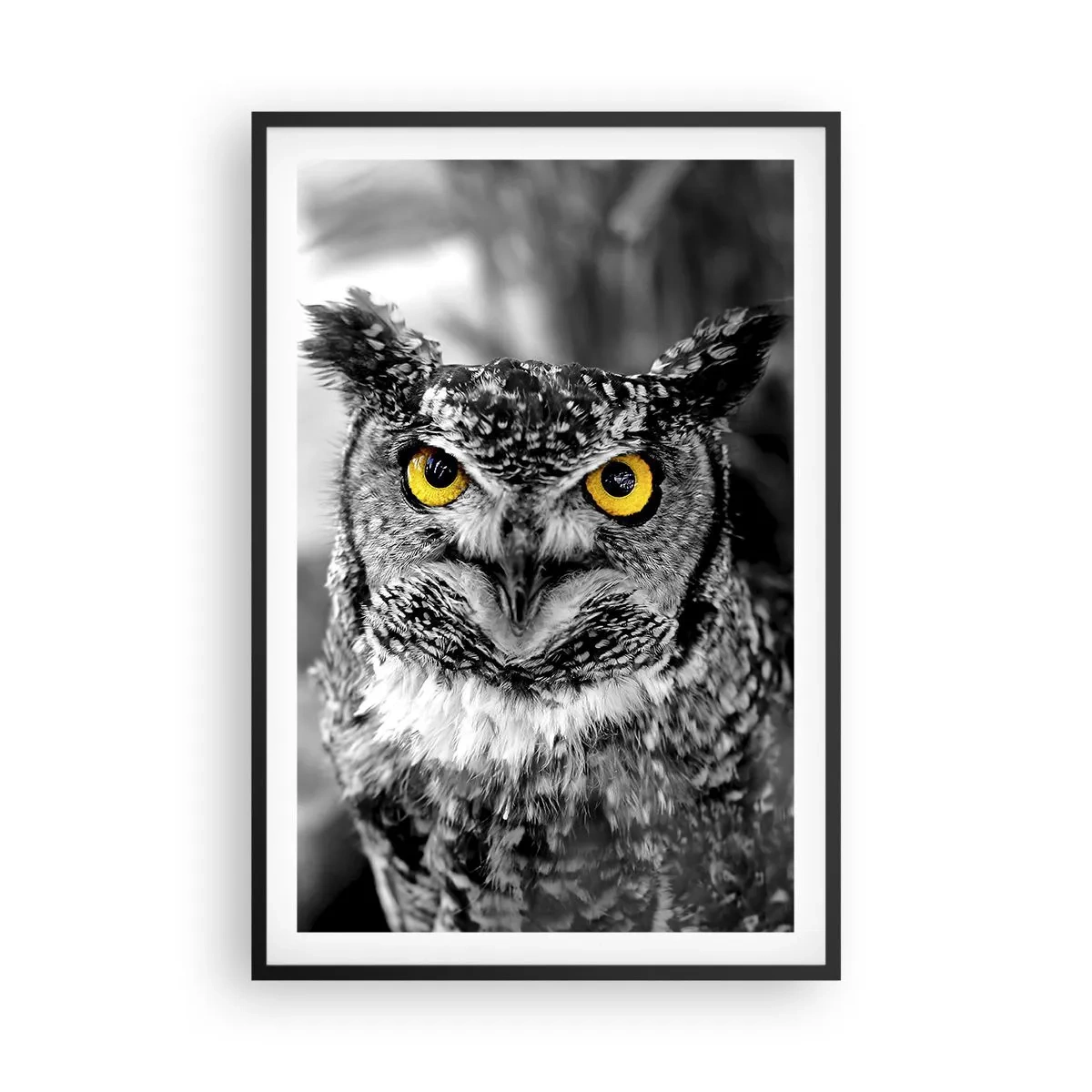 Poster in een zwarte lijst - Niets zal zich verbergen - 61x91 cm