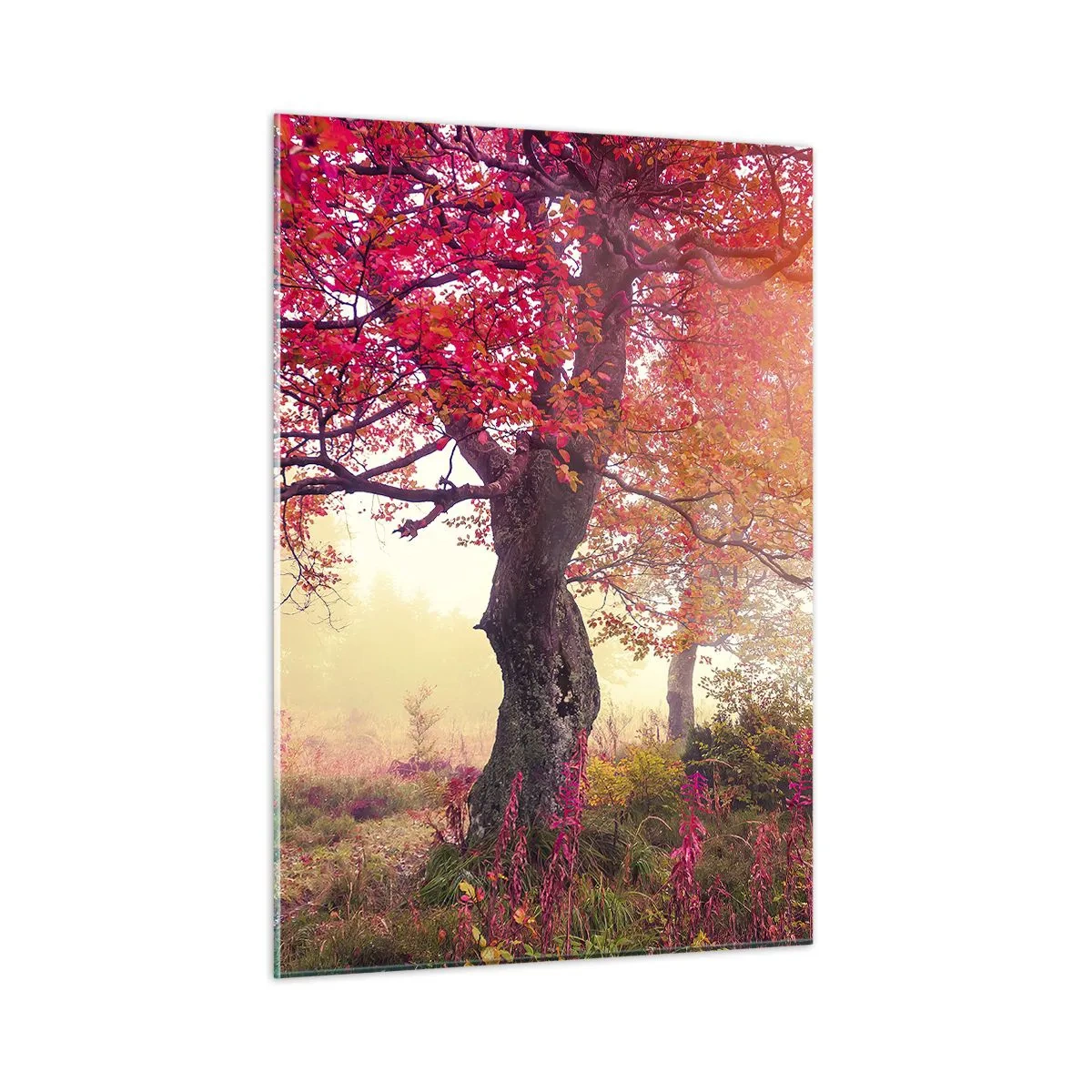Schilderen op glas - Bloeiende razernij - 50x70 cm