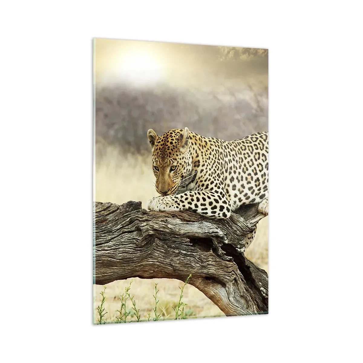 Schilderen op glas - Ik ga mijn eigen weg - 80x120 cm