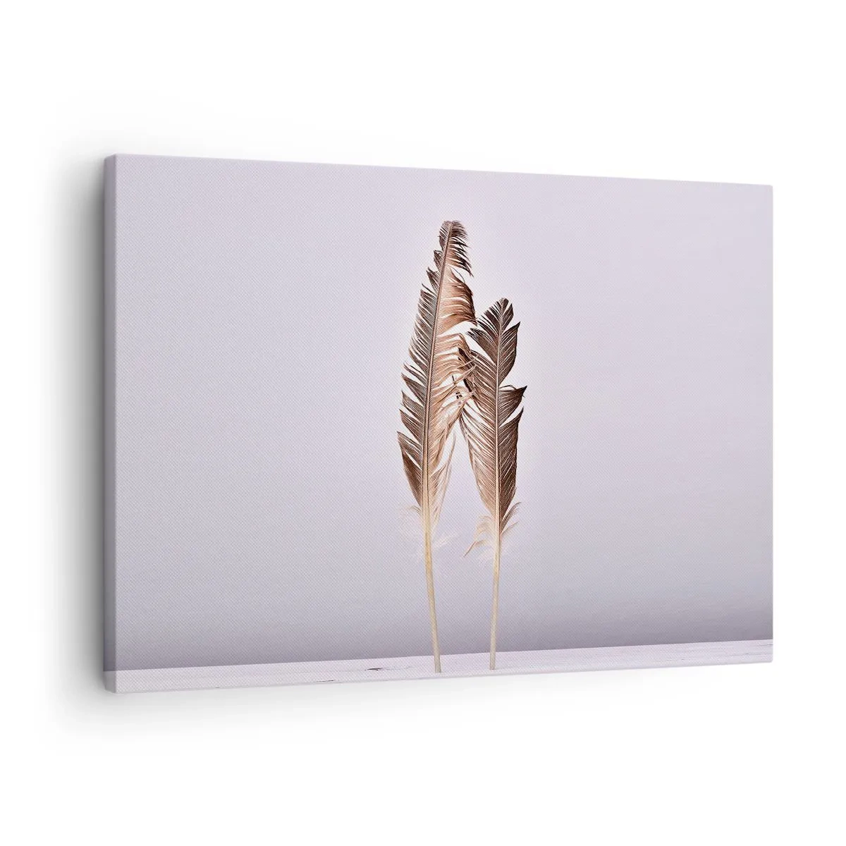 Schilderen op canvas - Delicate veren op een lichte achtergrond in minimalistische stijl - 70x50cm - Tegen het niets - Moderne wanddecoratie voor woonkamer en slaapkamer ARTTOR